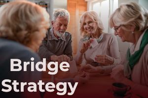 Learn Bridge Strategy